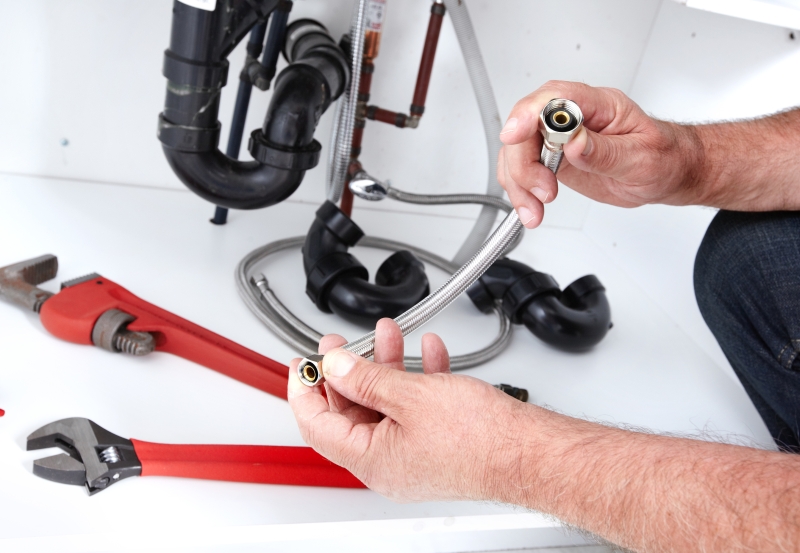 Toilet repair being carried out in Highgate